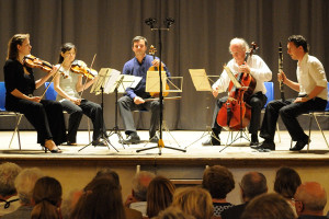 Concert - ready to play - Dvorak clarinet quintet